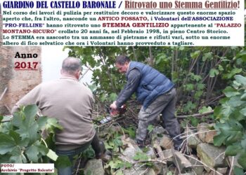 FELLINE / Centro storico / Lettera aperta agli amministratori comunali !!