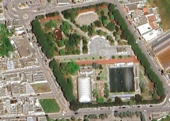 TAVIANO / MA I PINI DI “PARCO RICCHELLO” SONO PROPRIO DA ABBATTERE? NON C’E’ PROPRIO ALTRA SOLUZIONE?