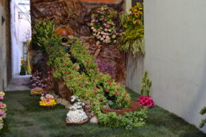 LEVERANO IN FIORE !! Dal 30 Maggio al 2 Giugno 2025 4 DSC 0157 1536x1024 1