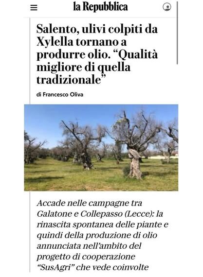 XILELLA / RISORGONO GLI ULIVI NEL SALENTO !! 1 XILELLA / RISORGONO GLI ULIVI NEL SALENTO !!