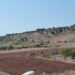 ALLISTE, LA COLLINA E I TRULLI AL DI LA’ DELLE CRONACHE GIUDIZIARIE…!!