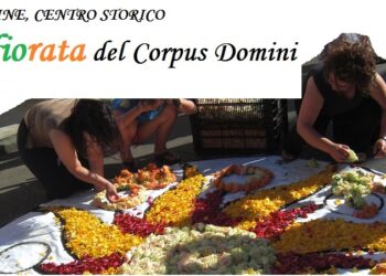 L’INFIORATA DI FELLINE / VENT’ANNI DI SACRIFICI, PASSIONE ED ENTUSIASMO !! Buon compleanno !!