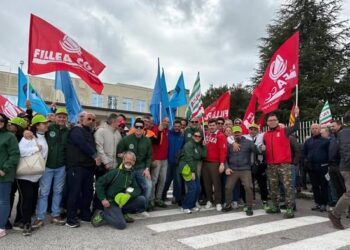 Vertenza Natuzzi – Divani&Divani: la “cogestione” come possibile via d’uscita dalla crisi !!