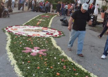 INFIORATA DI FELLINE / Cos’è e cosa c’è dietro?