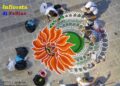 INFIORATA DI FELLINE / GLI ANNI 2014 – 2026 !!