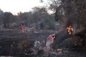 INCENDIO GENERICO